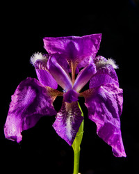 Similar image 710941