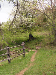 Similar image 710997