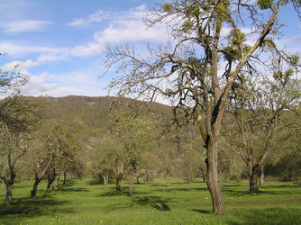 Similar image 711000