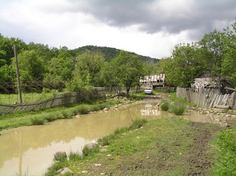 Similar image 711003