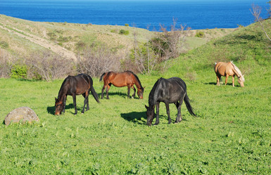 Similar image 711007