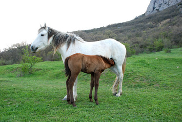 Similar image 711010