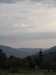 Similar image 711011