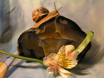 Similar image 711018