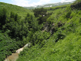 Similar image 711021