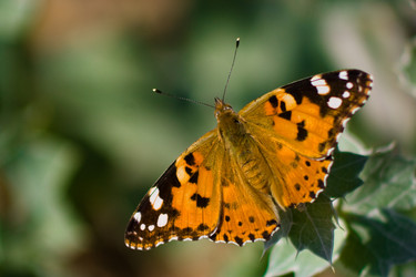 Similar image 711044