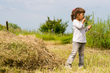 Similar image 711046