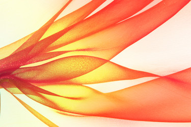 Similar image 711056