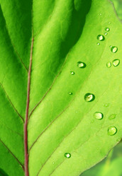 Similar image 711084