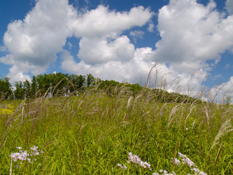 Similar image 711086