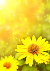 Similar image 711087