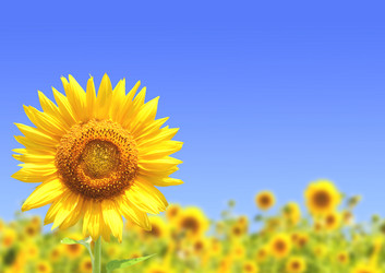 Similar image 711089