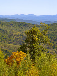 Similar image 711095