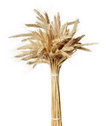 Similar image 711103