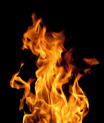 Similar image 711105