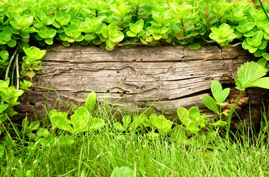 Similar image 711108