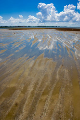 Similar image 711130