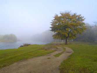 Similar image 711144