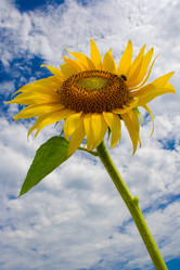 Similar image 711149