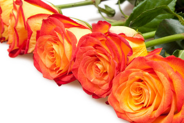 Similar image 711151