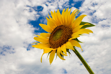 Similar image 711153