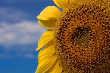 Similar image 711155