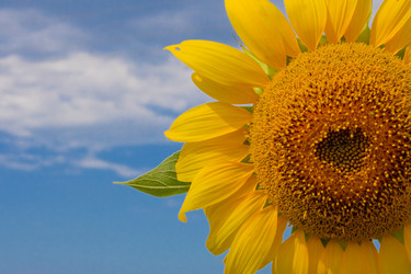 Similar image 711156