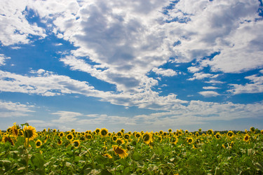 Similar image 711167