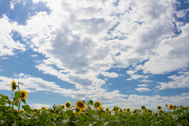 Similar image 711168