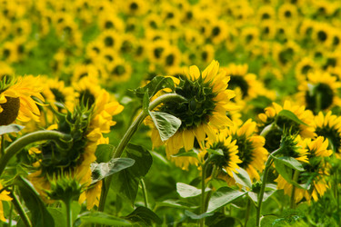 Similar image 711173