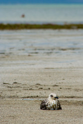 Similar image 711189