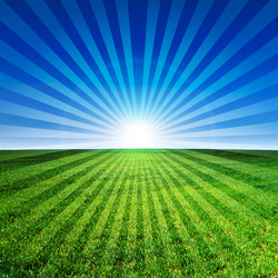 Similar image 711192