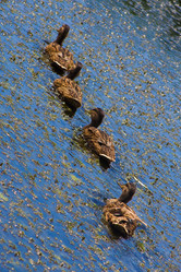 Similar image 711223