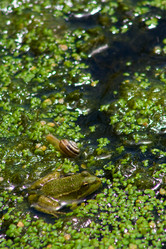 Similar image 711232