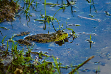 Similar image 711235