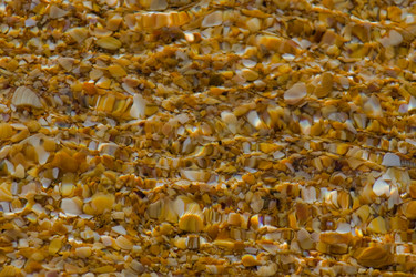 Similar image 711237