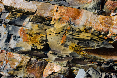 Similar image 711238