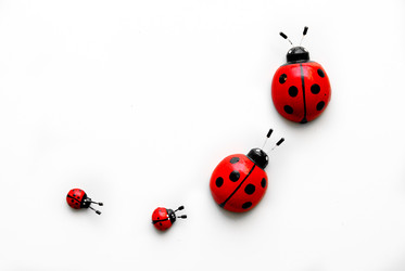 Similar image 711241