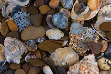 Similar image 711266