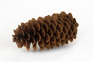 Similar image 711267