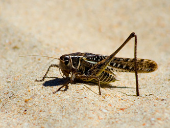 Similar image 711271