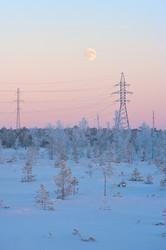 Similar image 711296