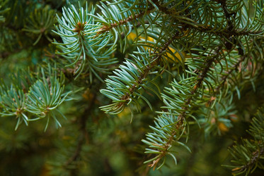 Similar image 711305