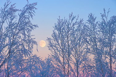 Similar image 711310