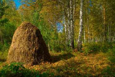 Similar image 711338