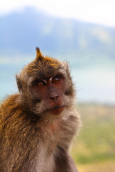 Similar image 711344