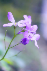 Similar image 711349