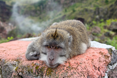 Similar image 711350