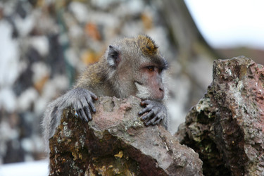 Similar image 711352