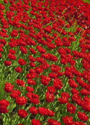 Similar image 711355